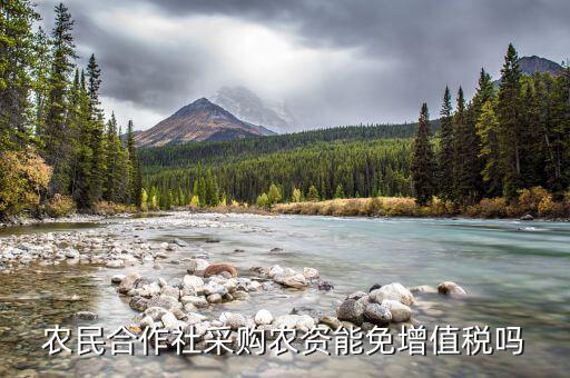 什么是農資免征增值稅，小規(guī)模農資企業(yè)免增值稅是不是只要有銷售收入就得交附加稅