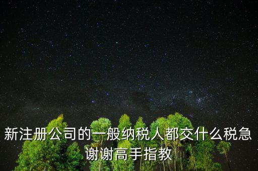 新注冊(cè)公司是什么納稅人，新辦企業(yè)是一般納稅人還是小規(guī)模納稅人