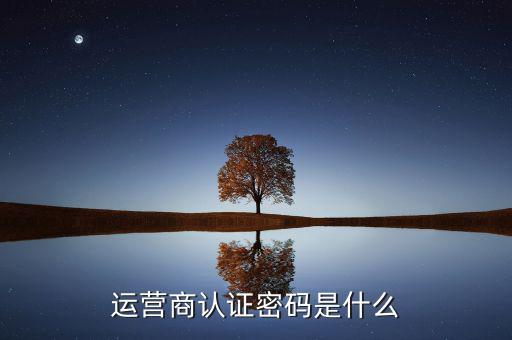 網(wǎng)上認(rèn)證密碼密碼是什么，一般上網(wǎng)認(rèn)證系統(tǒng)初始密碼是什么