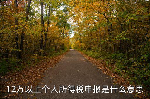申報(bào)個(gè)稅什么意思，個(gè)稅明細(xì)申報(bào)是指什么