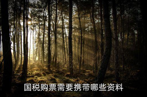 國稅圓票需要什么資料，去國稅大廳購買發(fā)票需要什么資料