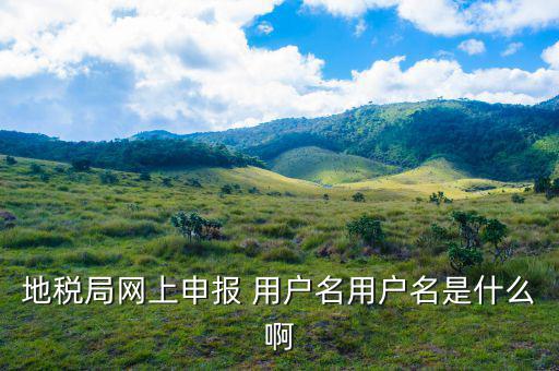 地稅網(wǎng)重置賬號和密碼是什么，地稅網(wǎng)上申報(bào)初始密碼是多少