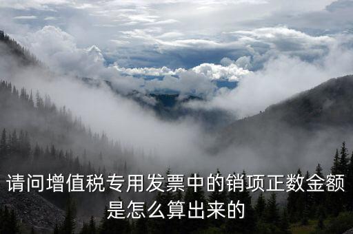 銷項正數(shù)金額是什么意思，銷項正數(shù)金額銷項負廢金額銷項負數(shù)金額是什么意