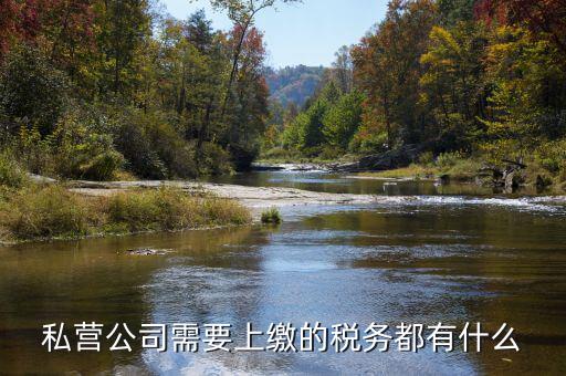 民營企業(yè)需要地稅什么服務，私營公司需要上繳的稅務都有什么