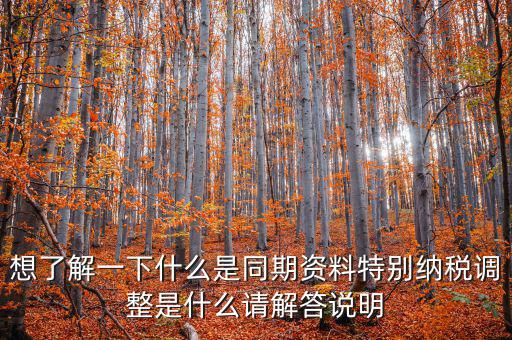 什么是特別納稅調(diào)整監(jiān)控管理階段，想了解一下什么是同期資料特別納稅調(diào)整是什么請(qǐng)解答說明