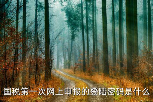 廣州國稅官網(wǎng)登錄密碼是什么，稅務局網(wǎng)站的登入賬戶初始密碼是什么