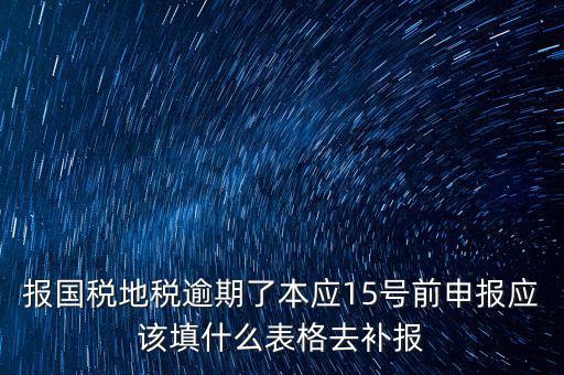 補錄國地稅信息都錄什么，報國稅地稅逾期了本應(yīng)15號前申報應(yīng)該填什么表格去補報