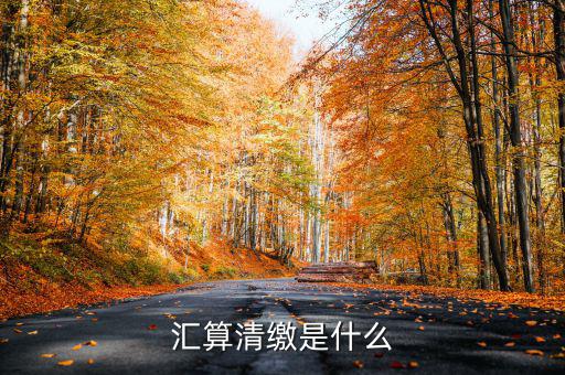 匯算清繳查賬都查什么，稅務(wù)局要對我司進(jìn)行匯算清繳后的查帳包括費用帳成本帳往來帳