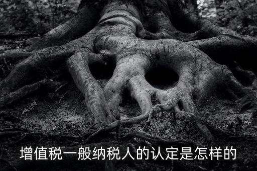 一般納稅人認證是什么，一般納稅人資格證什么