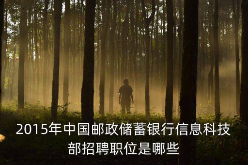 郵政2015主要工作為11333是什么，關(guān)于2015年的郵政郵遞員工作的問題