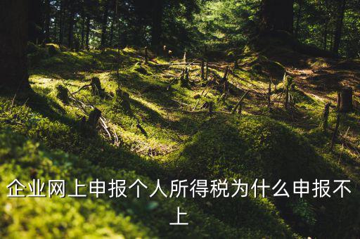 為什么稅務(wù)申報(bào)不了了，為什么申報(bào)不上