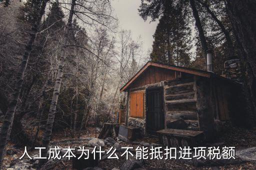 為什么不能抵扣進項稅，人工成本為什么不能抵扣進項稅額