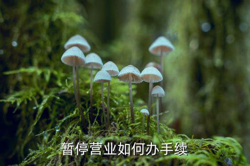 稅務(wù)文書附送資料清單 企業(yè)編碼是什么，暫停營(yíng)業(yè)如何辦手續(xù)