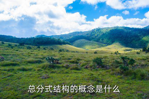 總分機構標志是什么意思，總分機構納稅人是什么意思