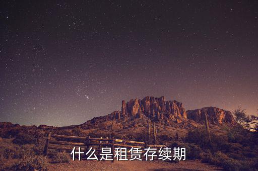 申報租金所屬租賃期是什么意思，什么是租賃存續(xù)期