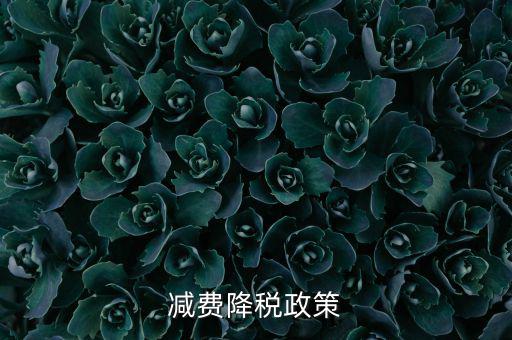 做好6項(xiàng)減稅政策的內(nèi)容是什么，減費(fèi)降稅政策