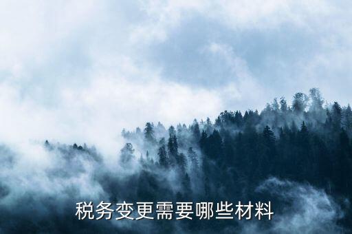 變更辦稅員要帶什么，財務(wù)負責(zé)人和辦稅員的變更需要辦理哪些手續(xù)