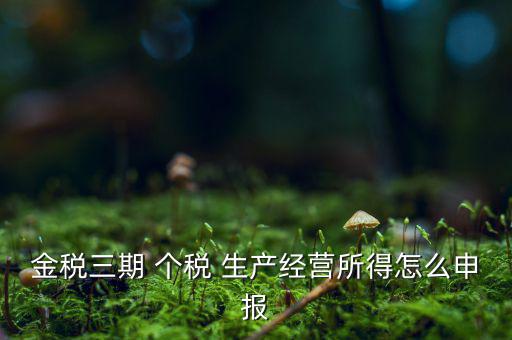 金三申報(bào)申報(bào)什么，金三系統(tǒng)怎樣申報(bào)企業(yè)所得稅稅收優(yōu)惠