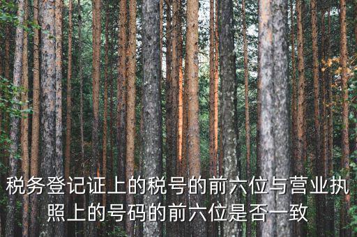 稅號前六位代表什么，納稅識別號前六位數(shù)為140111是什么意思