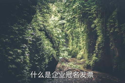 冠名發(fā)票屬于什么發(fā)票，什么是企業(yè)冠名發(fā)票