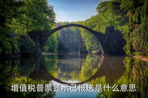什么是報(bào)送報(bào)告，什么是報(bào)送審計(jì)