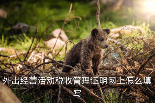 外管證編號是什么，外出經(jīng)營活動稅收管理證明網(wǎng)上怎么填寫