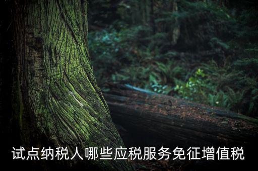 家政服務(wù)免增值稅什么業(yè)務(wù)免，家政服務(wù)企業(yè)的什么收入可以免征增值稅