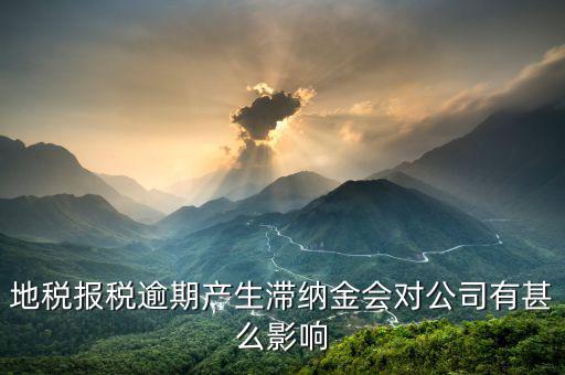 地稅報(bào)稅逾期產(chǎn)生滯納金會(huì)對公司有甚么影響