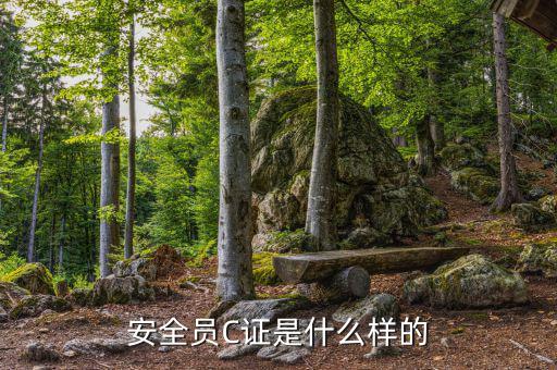 數(shù)字人事是什么樣的，數(shù)字人事是什么