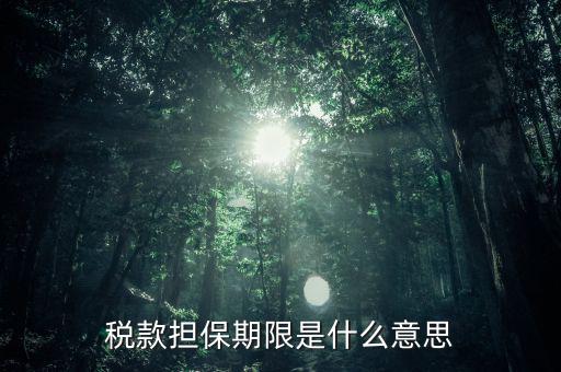 納稅擔(dān)保人什么意思，稅款擔(dān)保期限是什么意思