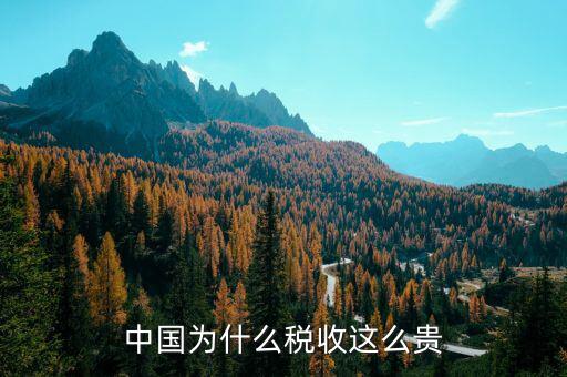 中國為什么靠稅收，中國為什么稅收這么貴