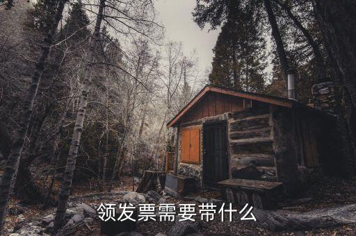 欠稅領(lǐng)發(fā)票需什么手，去稅務(wù)局領(lǐng)發(fā)票需要帶什么