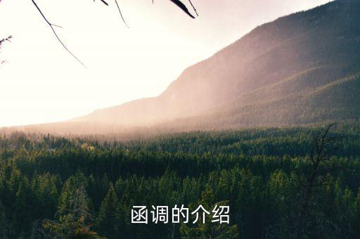 函調的介紹