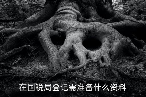 稅務(wù)登記備什么，在國稅局登記需準(zhǔn)備什么資料