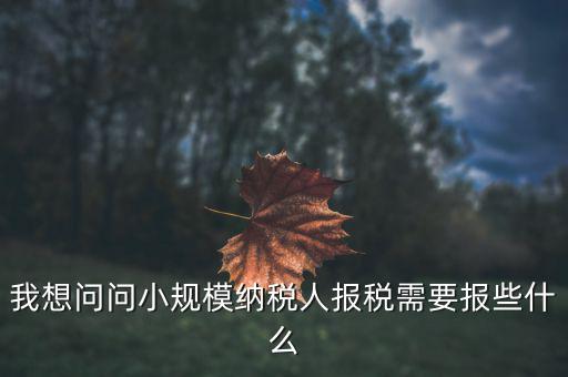 小規(guī)模國稅申報(bào)些什么，小規(guī)模納稅人國稅需要報(bào)什么資料