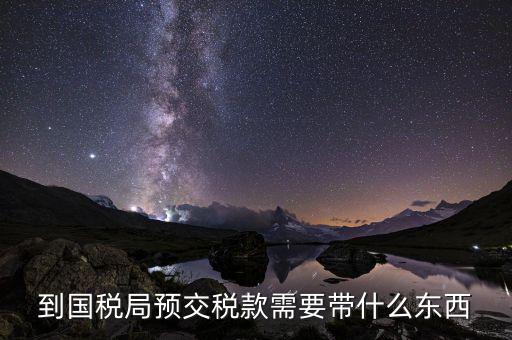 稅費預繳需要什么，到國稅局預交稅款需要帶什么東西