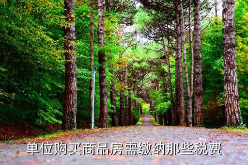 公司購買房產(chǎn)的稅費(fèi)標(biāo)準(zhǔn)是什么，公司產(chǎn)權(quán)的房子需要交哪些稅費(fèi)