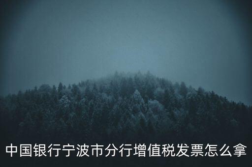 寧波國稅過發(fā)票要帶什么，浙江地區(qū)公司首次拿發(fā)票去國稅局需要帶什么證件