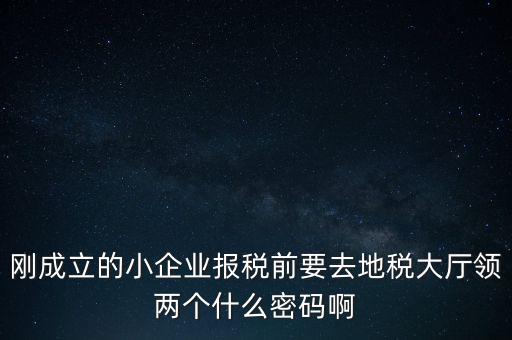 繳稅服務(wù)廳口令輸什么，剛成立的小企業(yè)報(bào)稅前要去地稅大廳領(lǐng)兩個(gè)什么密碼啊