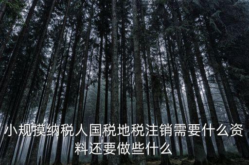 國地稅注銷需要什么，小規(guī)摸納稅人國稅地稅注銷需要什么資料還要做些什么