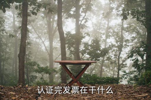 發(fā)票票種核定后做什么，認證完發(fā)票在干什么