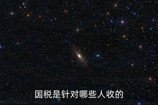 國(guó)稅都有什么人才庫(kù)，國(guó)稅有哪幾種