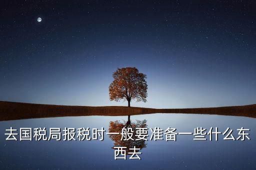 去國稅局都是帶什么東西，去國稅定稅要帶哪些東西啊我暈倒了以前從來沒定過