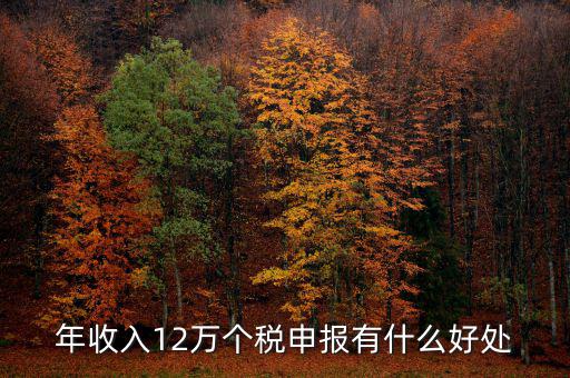 年收入12萬個稅申報(bào)有什么好處