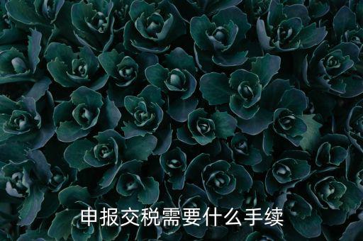 辦理稅務(wù)需要什么手續(xù)，稅務(wù)登記 代辦需要什么手續(xù)