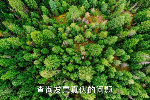 查發(fā)票真假為什么，查詢發(fā)票真?zhèn)蔚膯栴}
