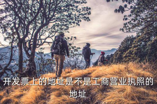 開票地址是什么，有沒有公文說開票的地址是填寫注冊地還是經營地址
