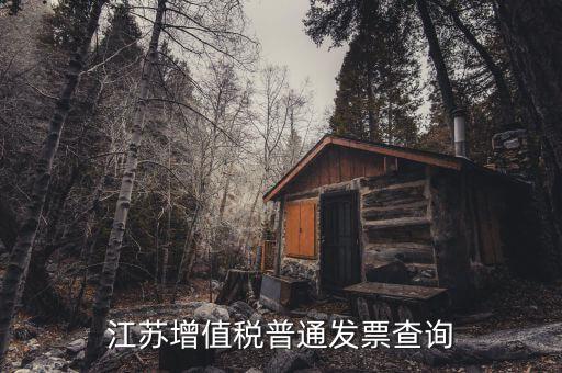 江蘇國稅網(wǎng)站運行的環(huán)境是什么，江蘇國稅徐州網(wǎng)站怎么上不去