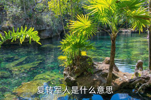 國(guó)稅局復(fù)轉(zhuǎn)軍人是什么身份，事業(yè)單位的退伍軍人屬什么身份