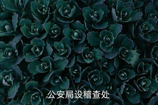 稽查處是什么部門，公安局設(shè)稽查處